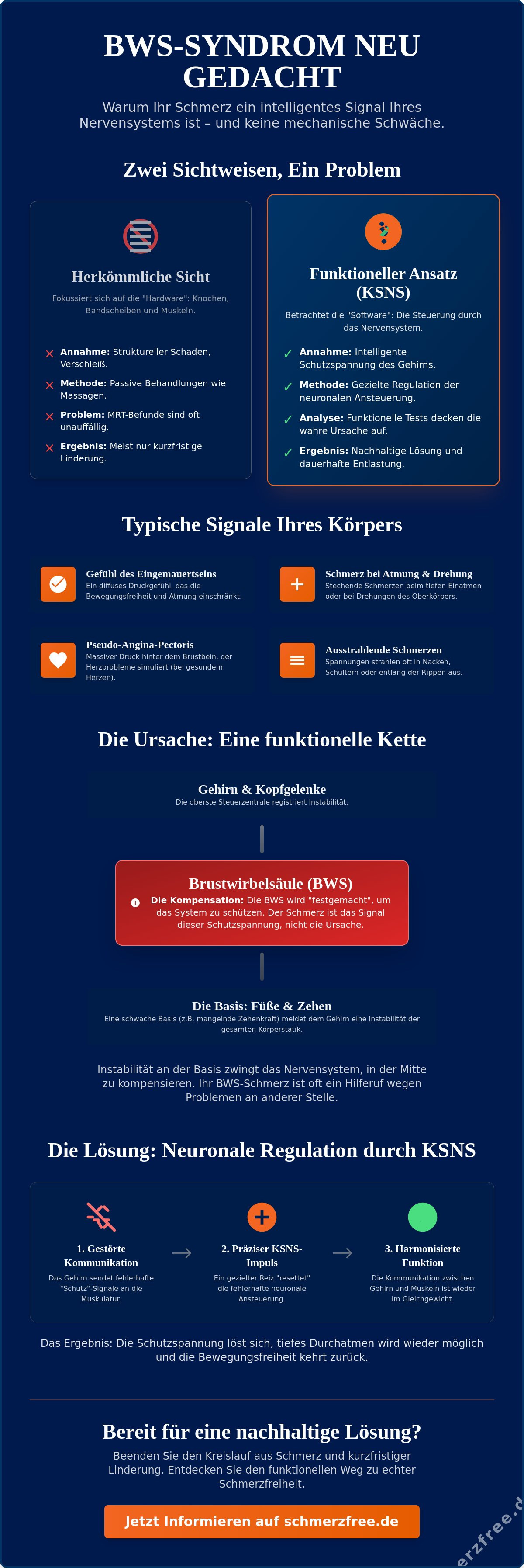 Schmerzen in der Brustwirbelsäule: Ursachen, Symptome und der funktionelle Weg zur Heilung