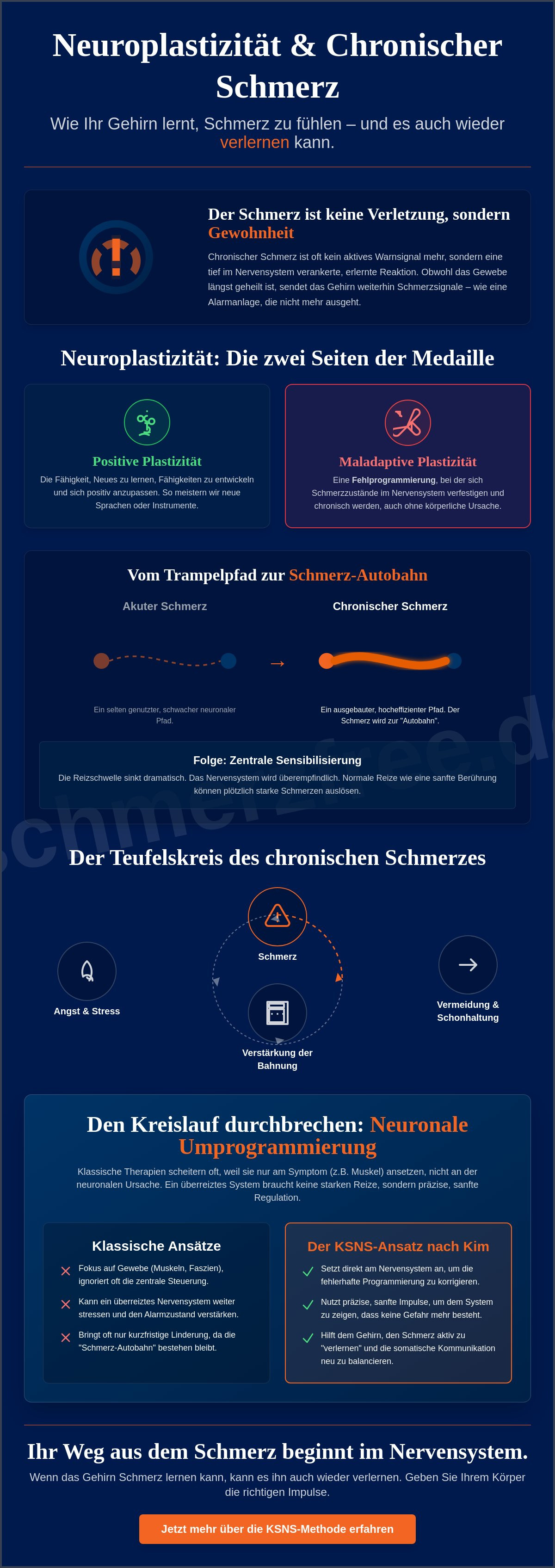 Neuroplastizität bei chronischen Schmerzen: Wie Ihr Nervensystem Schmerz „verlernt“ 2 - Präzise Schmerzbehandlung Neuroplastizität bei chronischen Schmerzen: Wie Ihr Nervensystem Schmerz „verlernt“