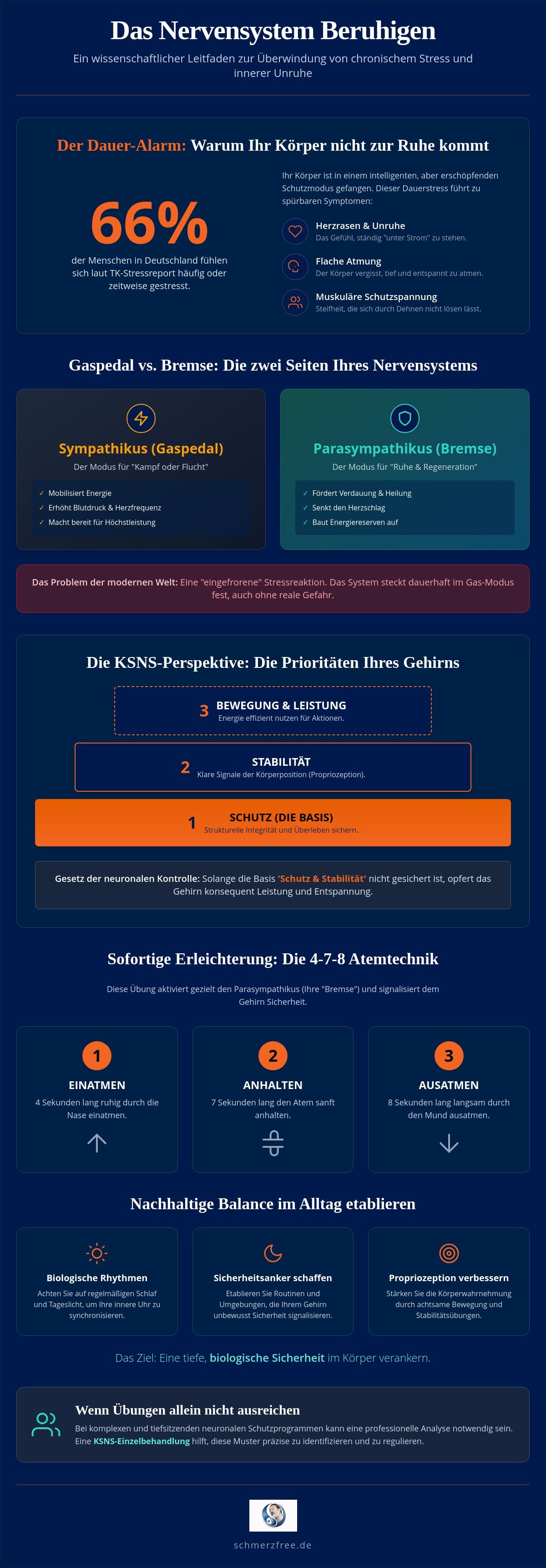 Nervensystem beruhigen: Effektive Übungen und die Logik der neuronalen Kontrolle